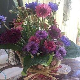 ������, ���������-�������, 62 ����