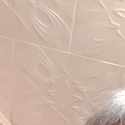 ����, ���������, 66 ���