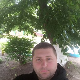 , 39, 