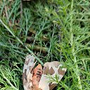 ���� �����, ���������, 50 ��� - ��������� 9 ������� 2025 � ������ �������� �������..�