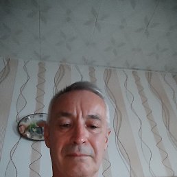 , 61, 