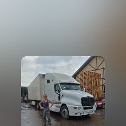 ���� ������, ���������, 62 ���� - ��������� 24 ������ 2025