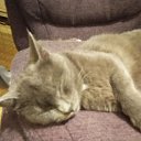 ���� ������, ������, 55 ��� - ��������� 29 ������ 2025