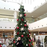 �����, 44 ����, ��������