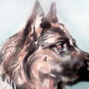 ���� �����, ������, 55 ��� - ��������� 13 ������� 2026 � ������ ���� ����������