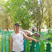 �����, 49 ���, �����������