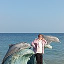 ���� ��������, ������, 84 ���� - ��������� 4 ������� 2024 � ������ ������ ��������