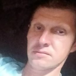 ������� �������, ������, 37 ���