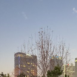 ����, ������, 46 ���