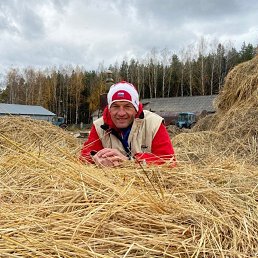 ����, 43 ����, �����������