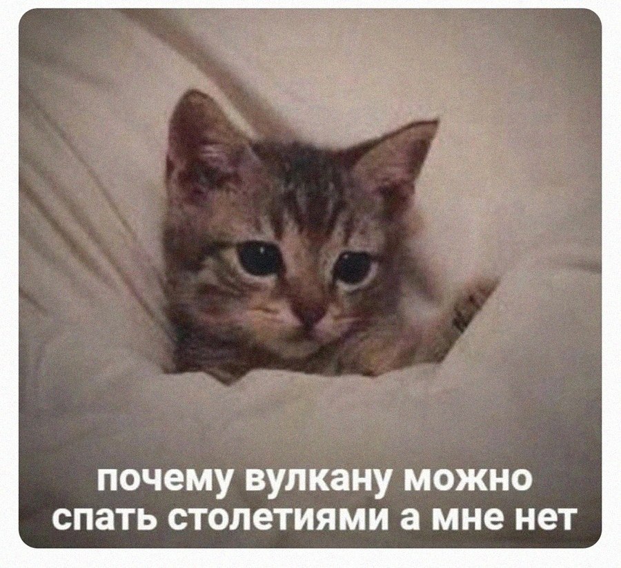 ��������, ������