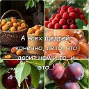 ���� �������, ���������������� - ��������� 3 ���� 2026 � ������ ������ ��������