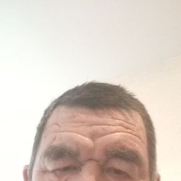 ���� �����, ������, 61 ��� - ��������� 22 ������ 2024