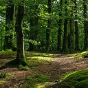 ���� ������, ������, 49 ��� - ��������� 15 �������� 2024 � ������ ���� ����������