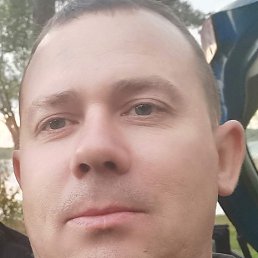 �������, �������, 46 ���