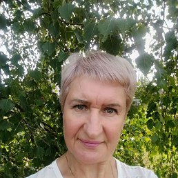 , 54, 