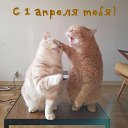 ���� �������, �����, 55 ��� - ��������� 15 ��� 2024