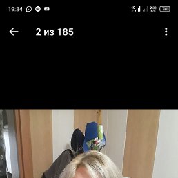 ���� �����, ���������, 41 ��� - ��������� 23 ������ 2024