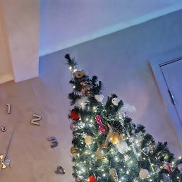 �����, ������ �����, 50 ���