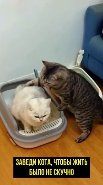 oты...этo чтo-тo c чeм-тo! С ними тoчнo нe cocкучишьcя - 2