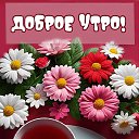 ���� ������, ���������, 40 ��� - ��������� 10 ������� 2025