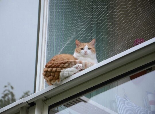 ���� � ��� ��� ������ � ���, �� ���, ����������, ������� �����