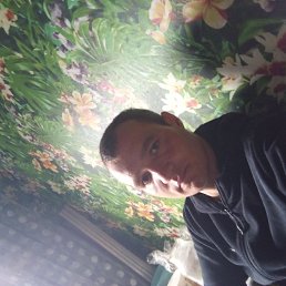 , 29, 