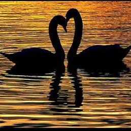 Viktoria, ������