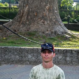 , 39, 