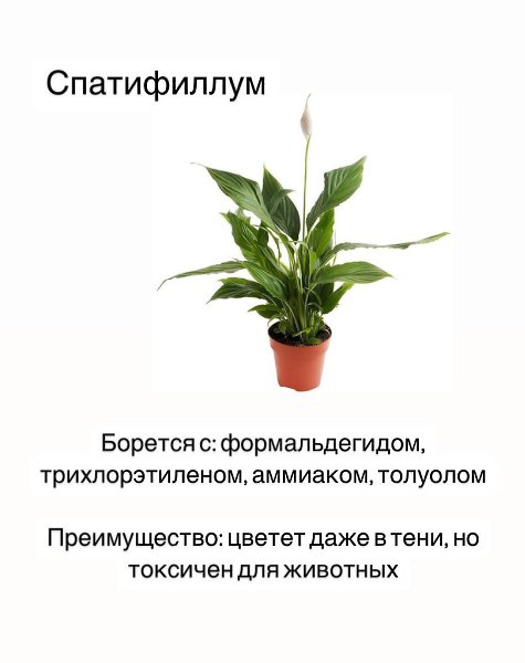 �������-����������yx�.����������������������y�����������,�����y����������������.������������������������-�����:����������������������yx����������,��y�������������������� - 5
