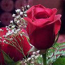 ���� ������, ������ - ��������� 17 ��� 2026 � ������ ���� ����������