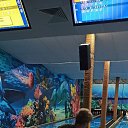 ���� �������, ������������, 60 ��� - ��������� 23 ������� 2025