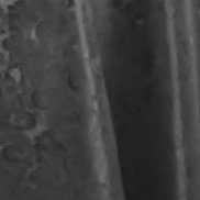 ��������, 57 ���, ��������