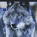 ���� ���������, ������, 58 ��� - ��������� 5 ������ 2024