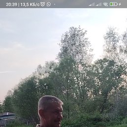 ����, ����, 46 ���