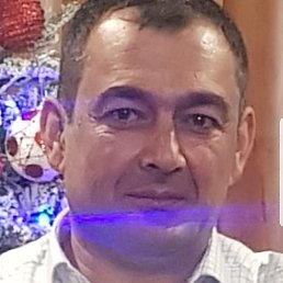 ����, ���������, 41 ���