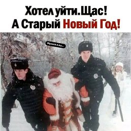 ���� ���������, ��������, 36 ��� - ��������� 1 ������� 2024