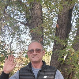 , 65 , 
