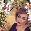 ���� �����, ������ ��������, 49 ��� - ��������� 3 ������� 2023 � ������ ���� ����������