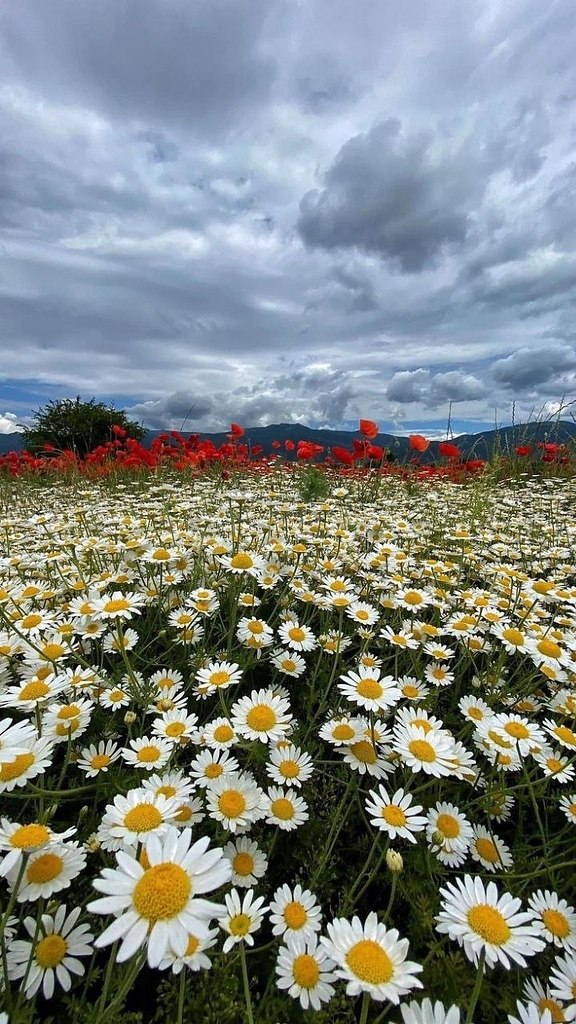Подарки своими руками - 3 марта 2024 в 21:27 - 2
