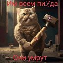 ���� Dezowave, ��������, 33 ���� - ��������� 7 ��� 2026 � ������ ���� ����������
