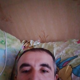 Damir, 34 ����, �����������