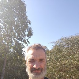 , 64, 