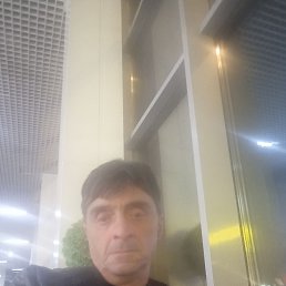 , 54, 