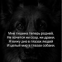 ���� Inga, ������, 52 ���� - ��������� 6 ����� 2026 � ������ ������ ��������