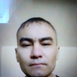 , 43, 