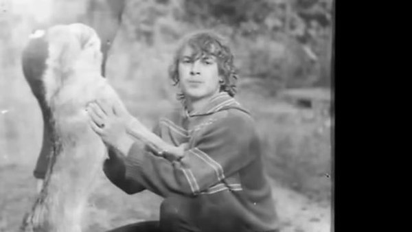 �����������