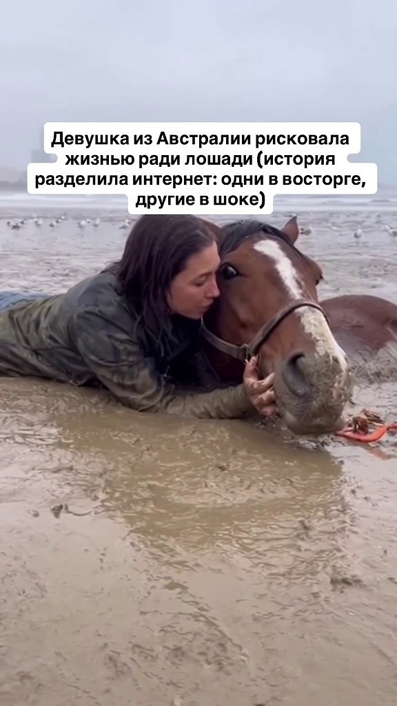 ������� ��� ���� ������� ������ ������ ����� ��� ������������ � ������� �� ��������� ���������. ... - 2