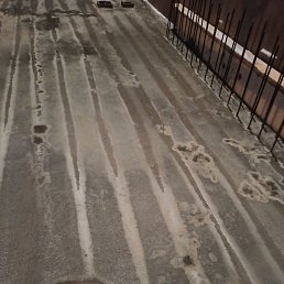 ���� �����, ������, 38 ��� - ��������� 13 ������ 2024