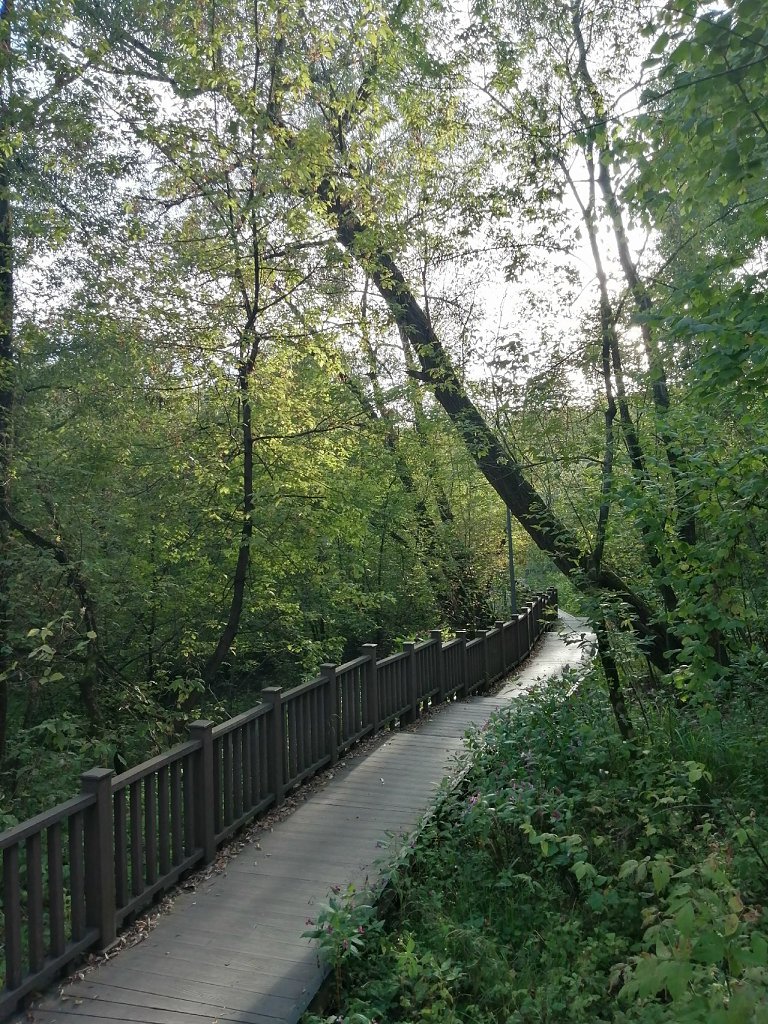 Река Сетунь. 